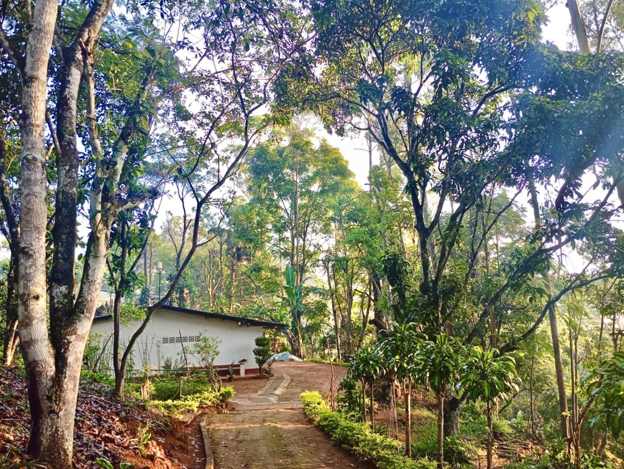 Nature - A Modern, Exclusive Just For You! *