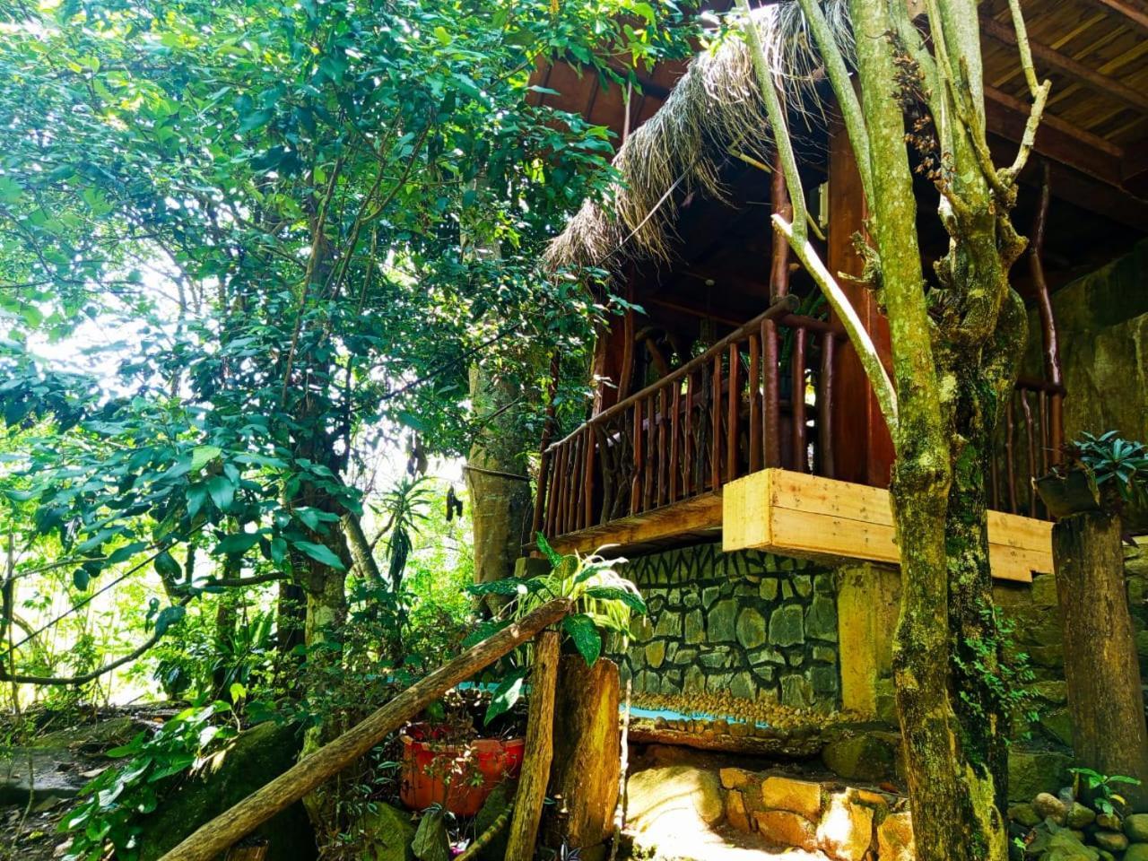 Bed & Breakfast Jungle Face *