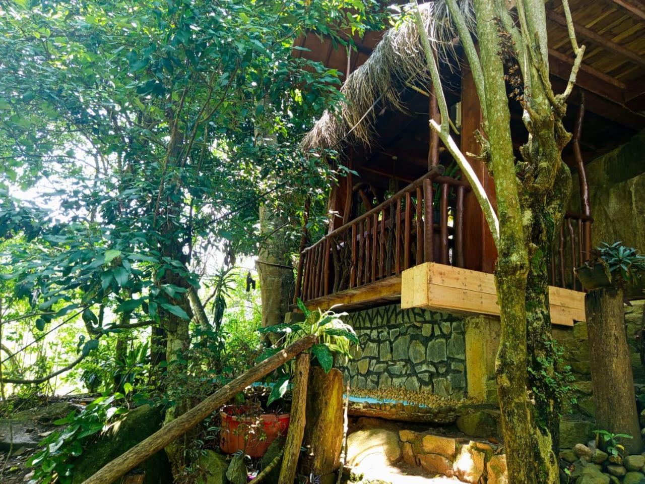 Bed & Breakfast Jungle Face
