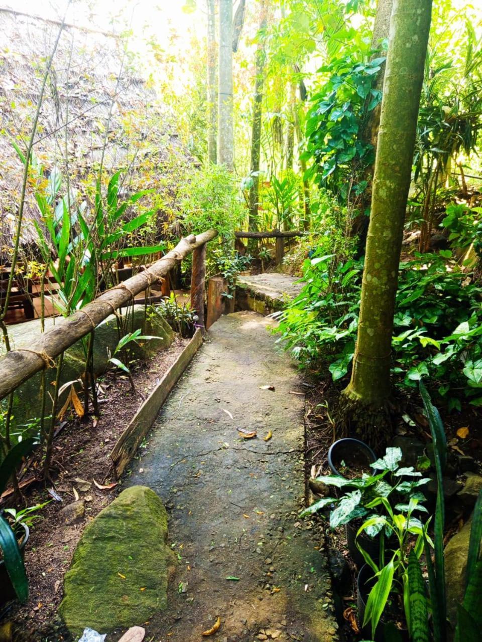 Jungle Face Bed & Breakfast *