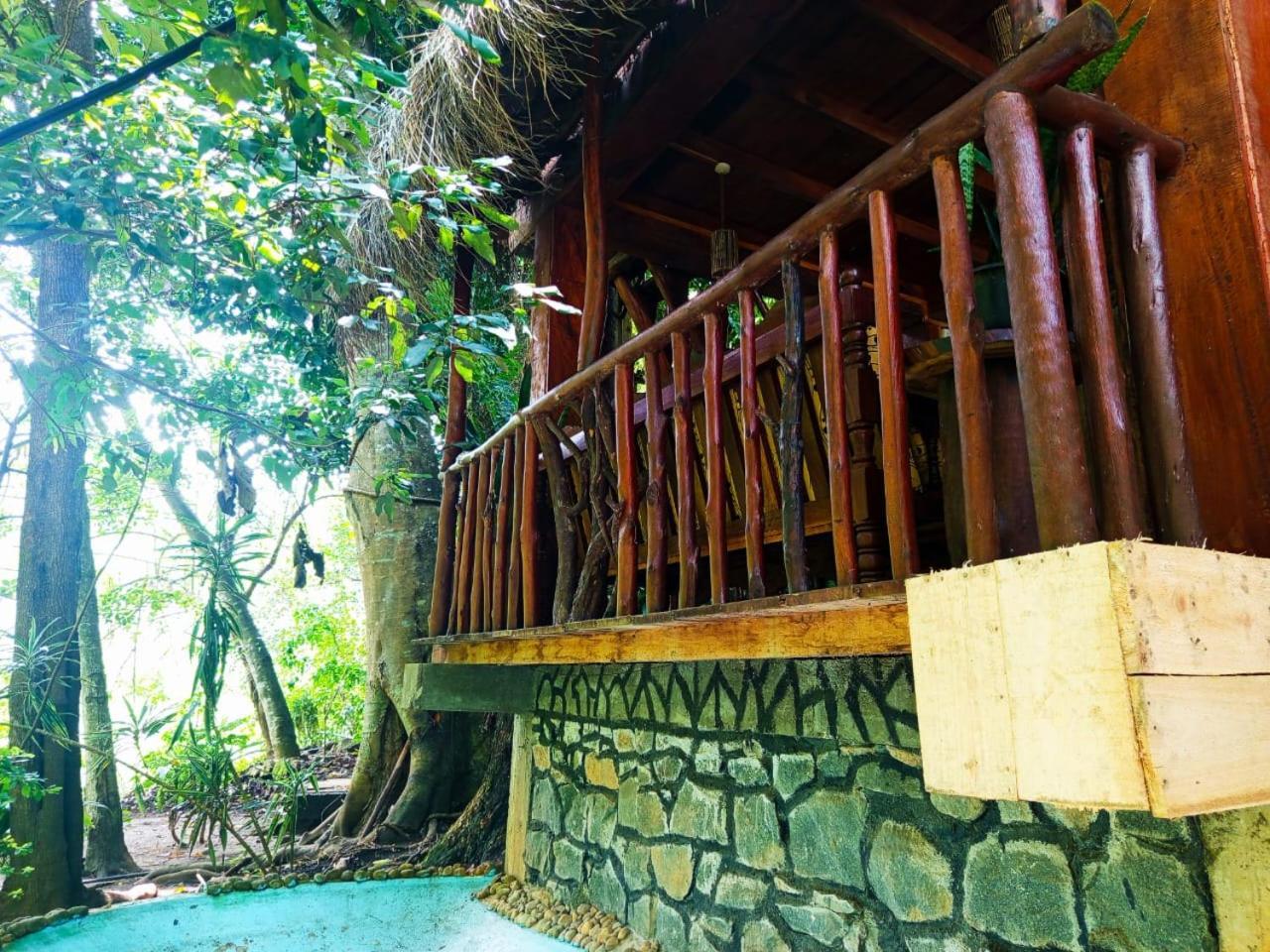 Bed & Breakfast Jungle Face *