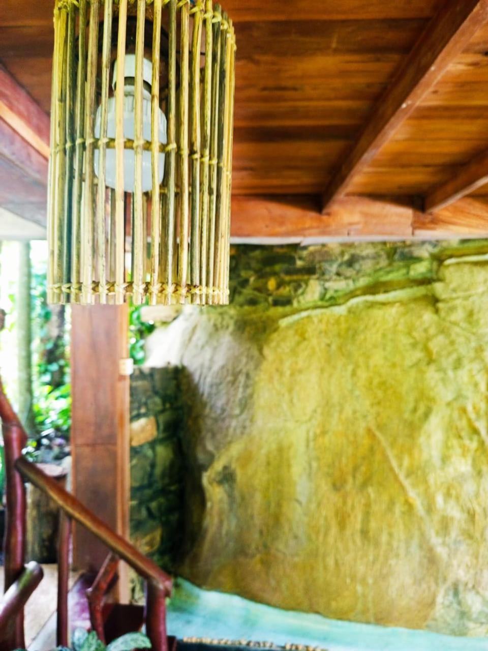 Jungle Face Bed & Breakfast *