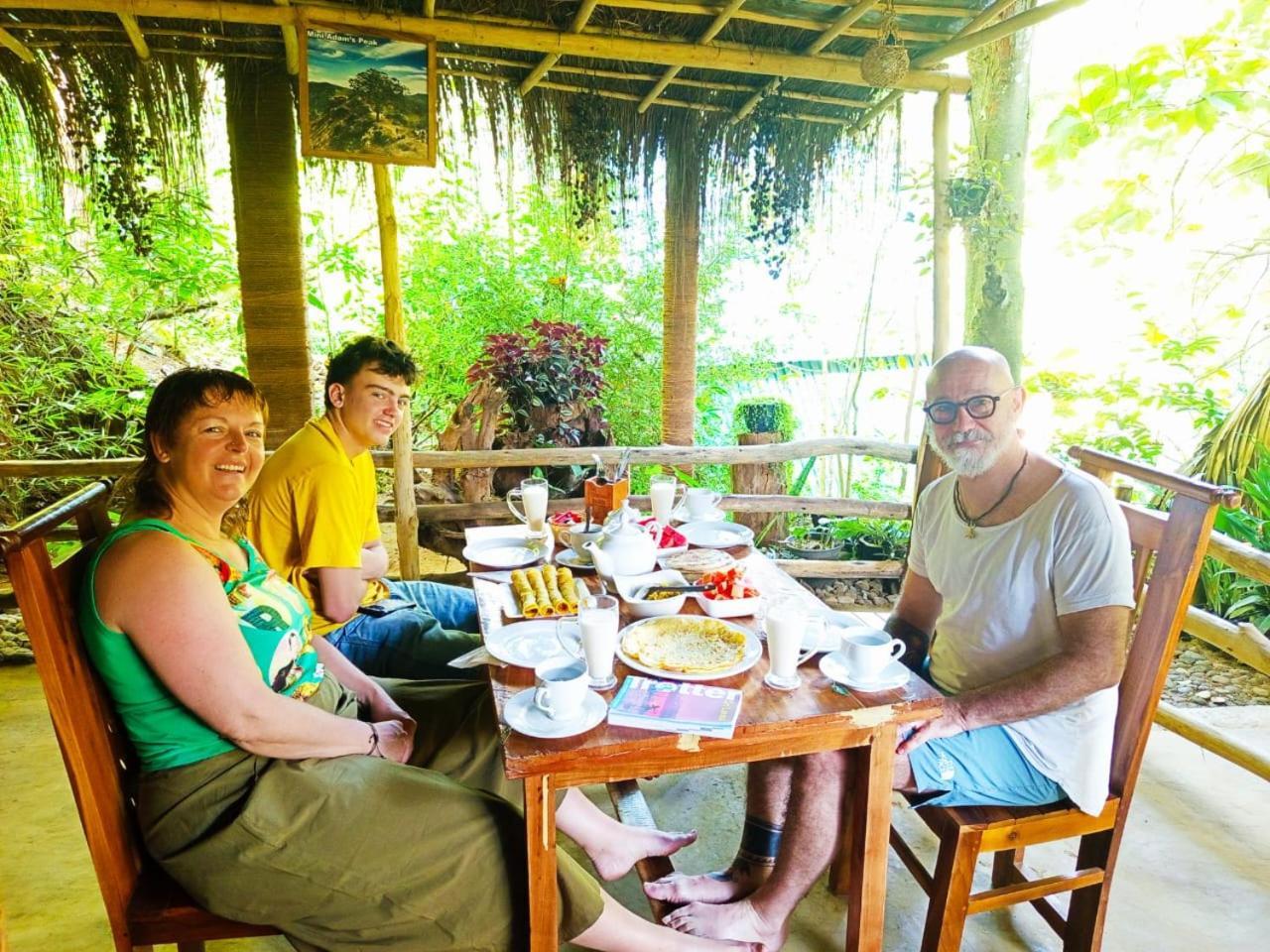 Bed & Breakfast Jungle Face *