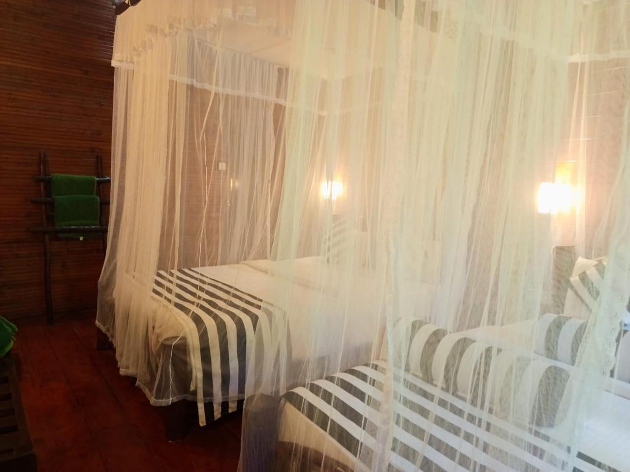 Jungle Face Bed & Breakfast