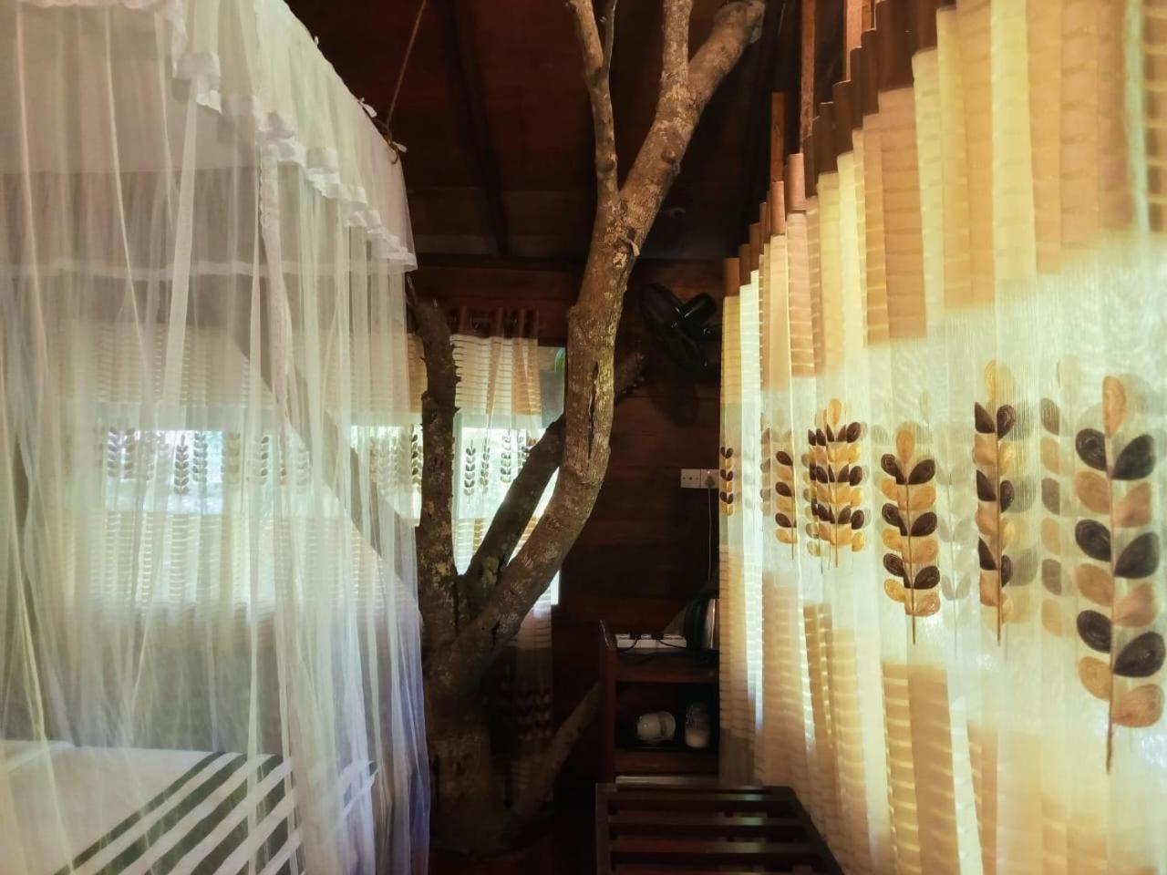 Eco Village *