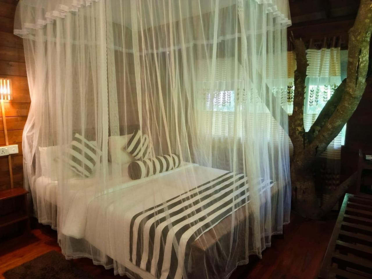 Eco Village Resort Ella