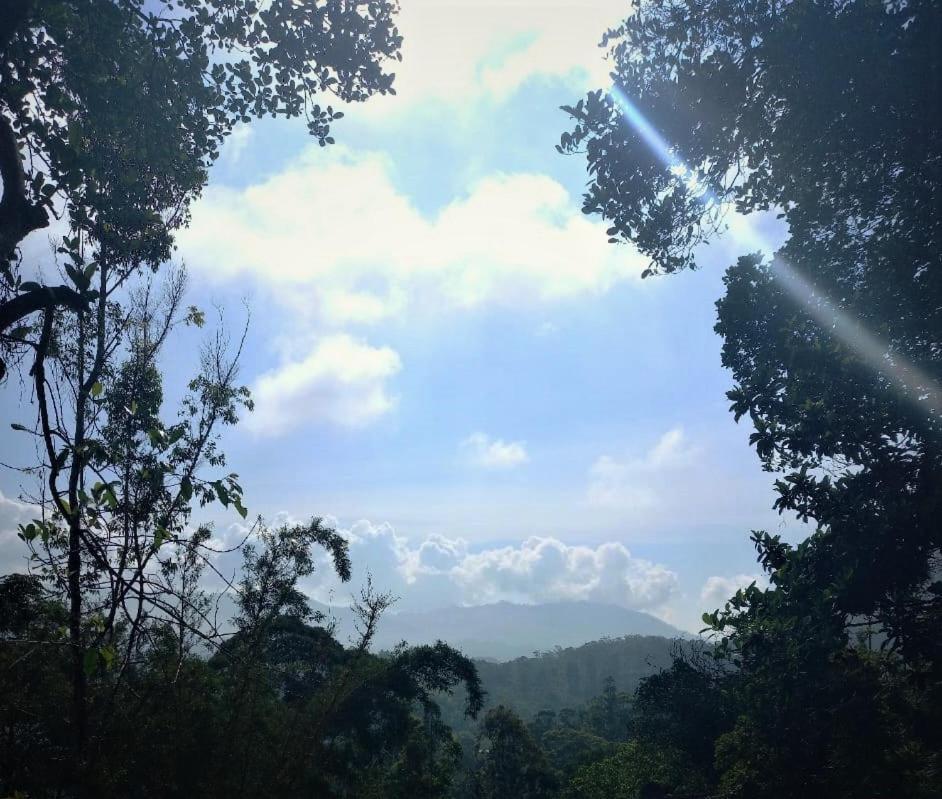 Winking Nature View Guest house *