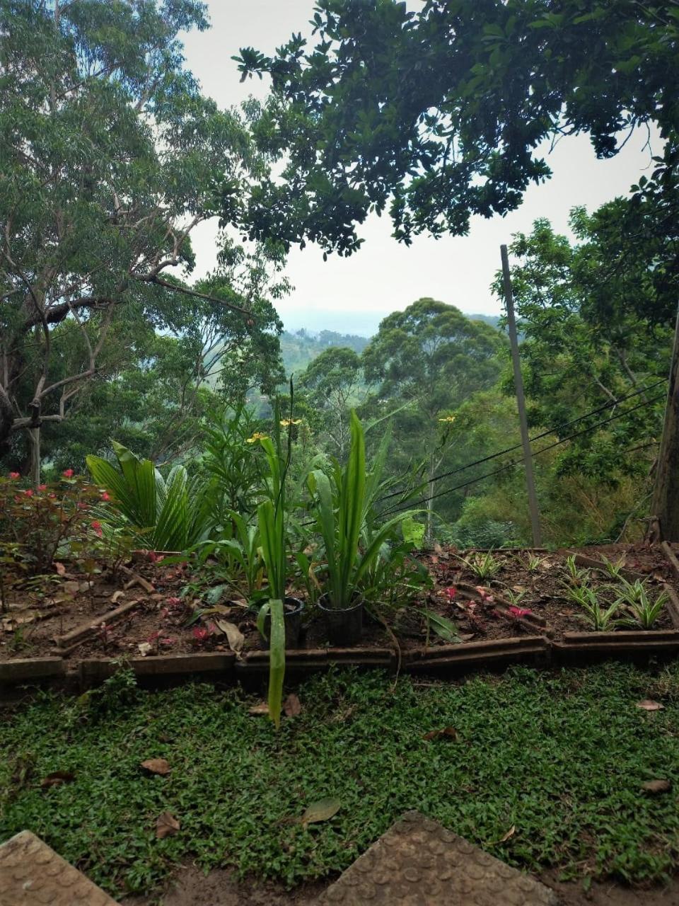 Guest house Winking Nature View Ella