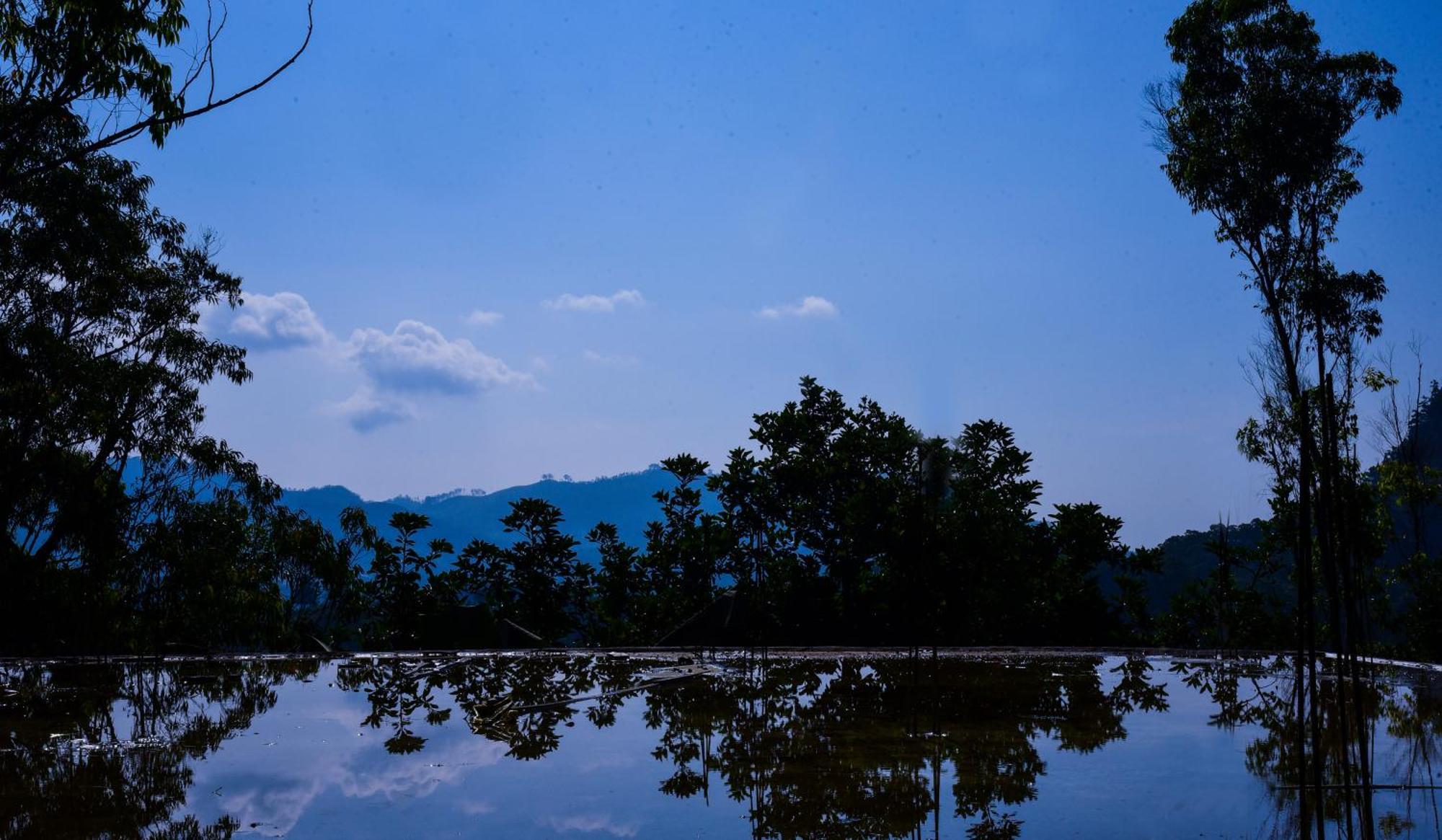 Guest house Winking Nature View *