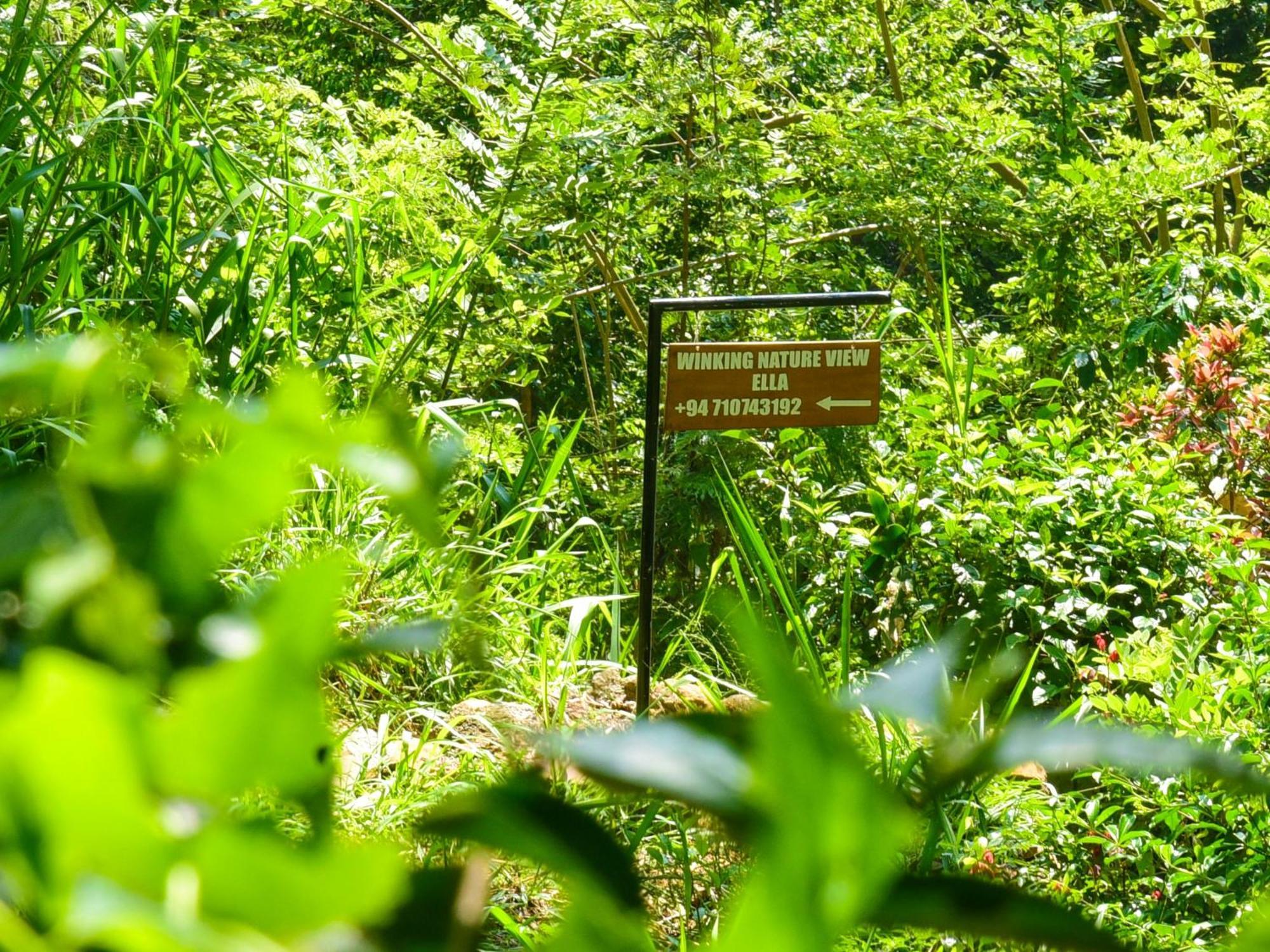 Winking Nature View Guest house