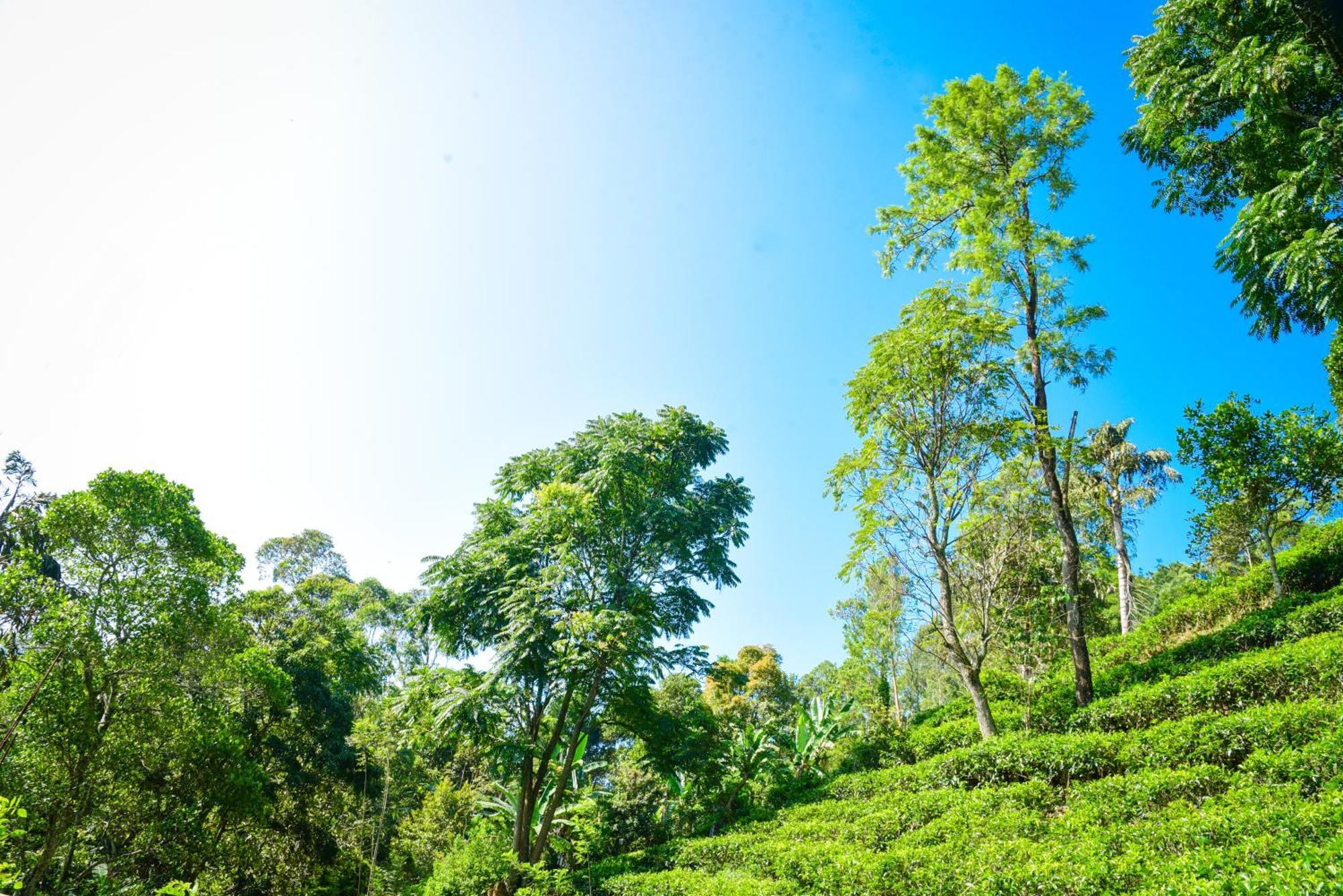 Guest house Winking Nature View