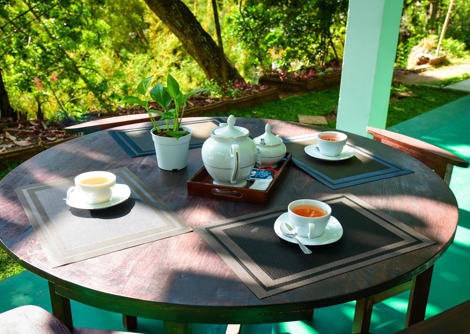 Winking Nature View Guest house *