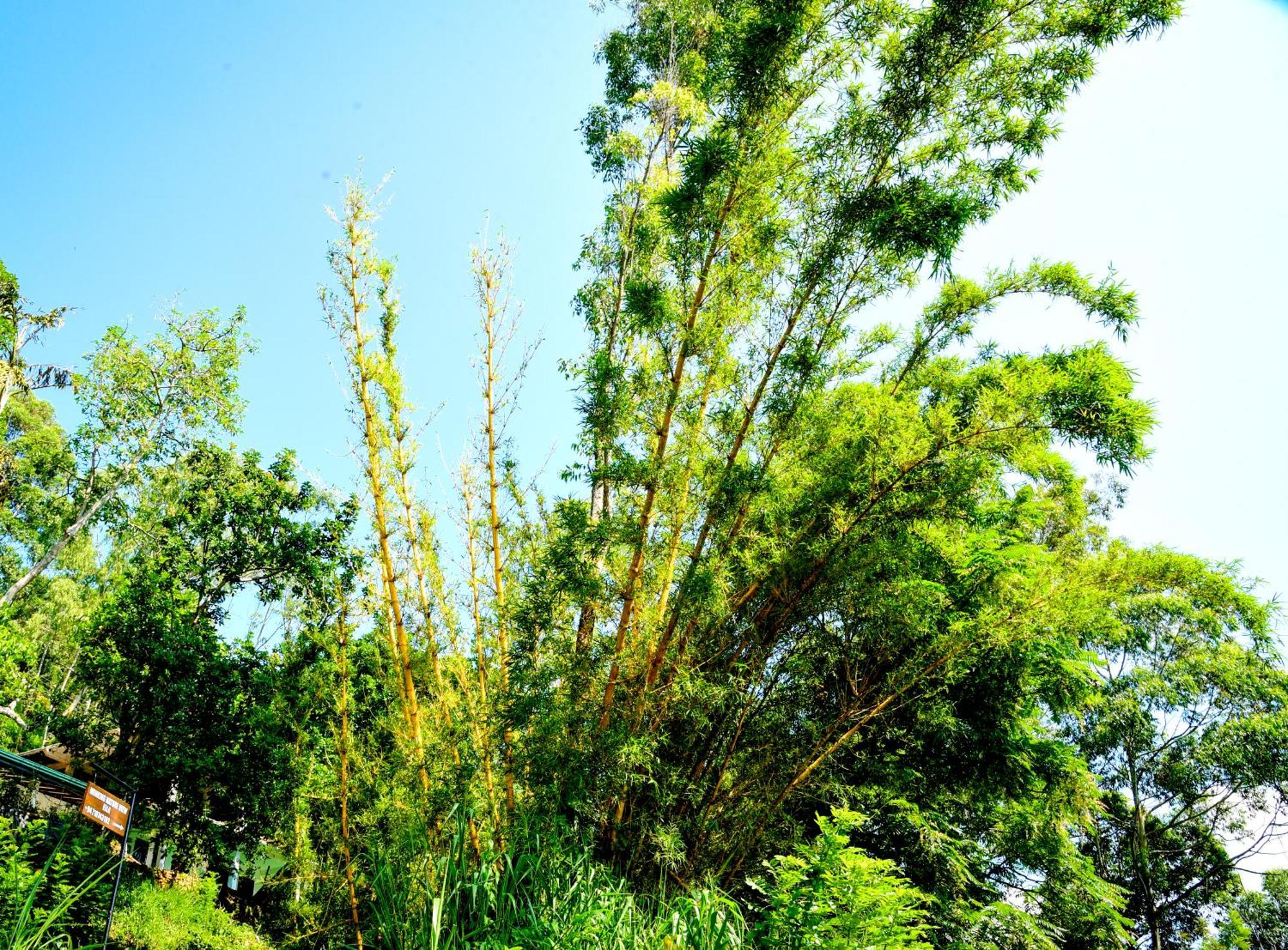Guest house Winking Nature View
