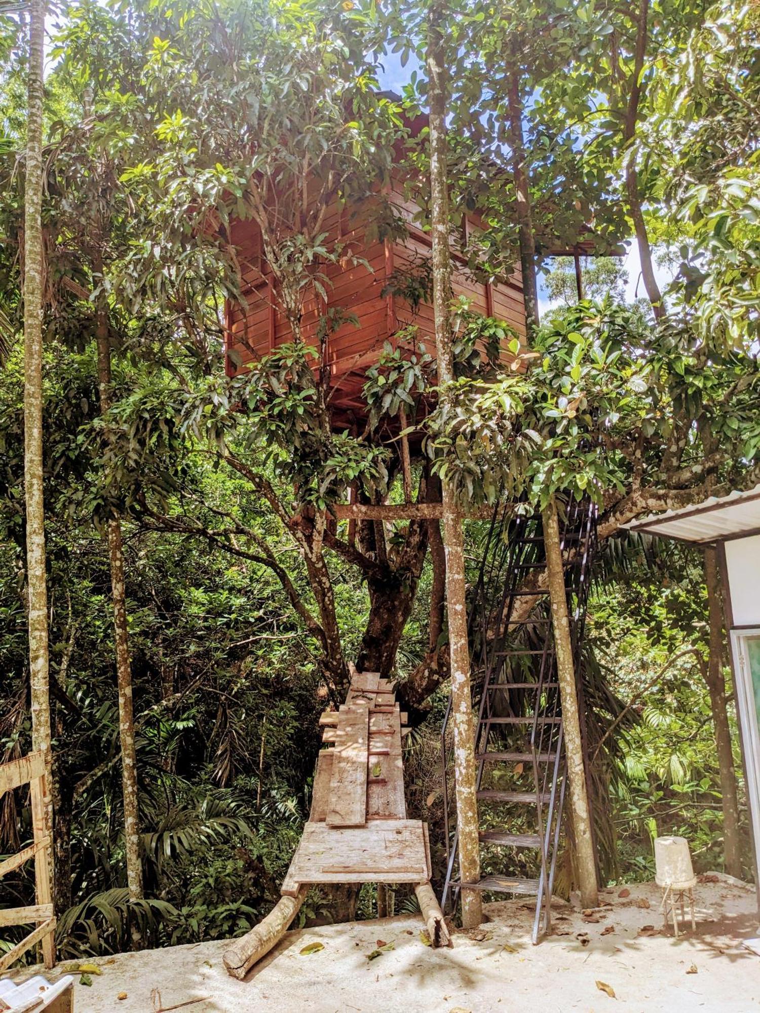 Homestay Jungle Ella