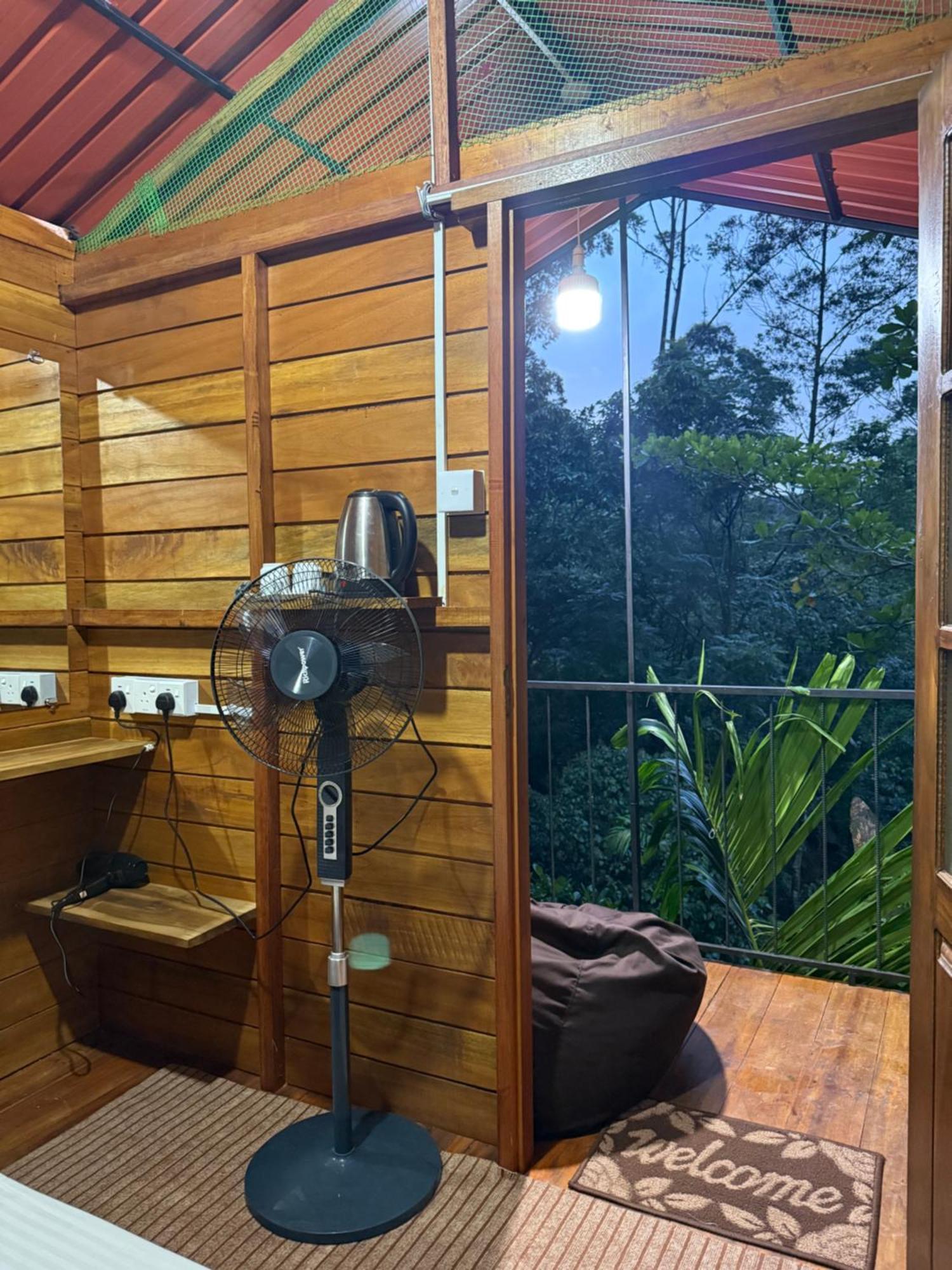 Jungle * Ella
