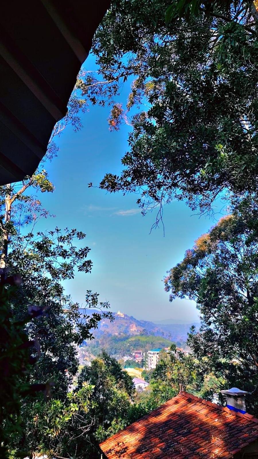 Hillsite View Ella