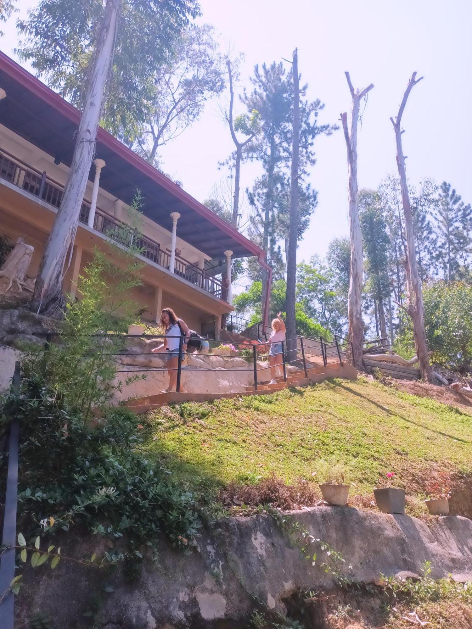Hillsite View
