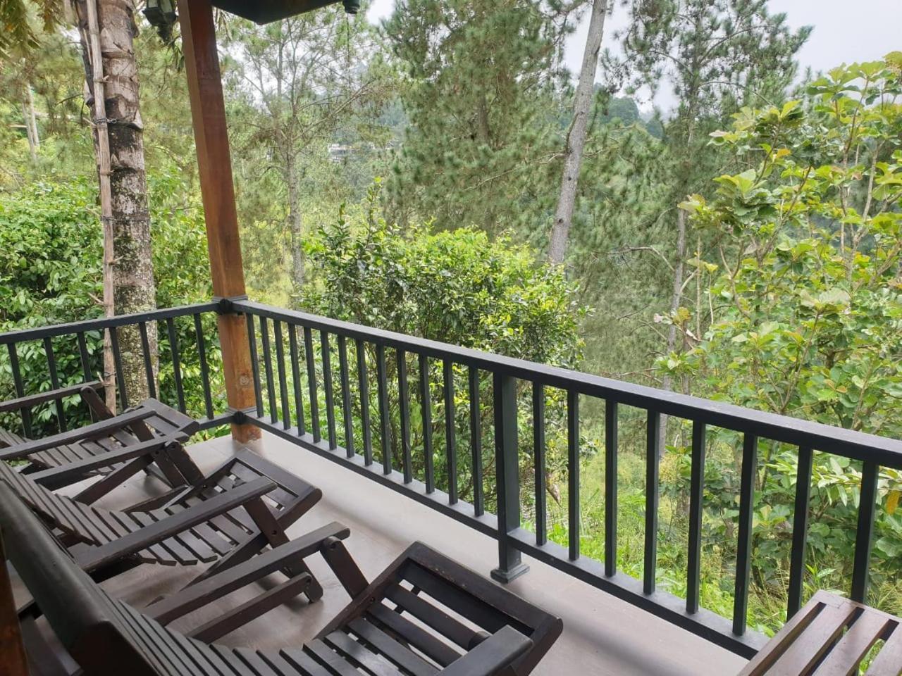 Mount Relax Guest house Ella