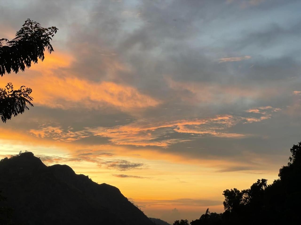 Lucky Panoramic