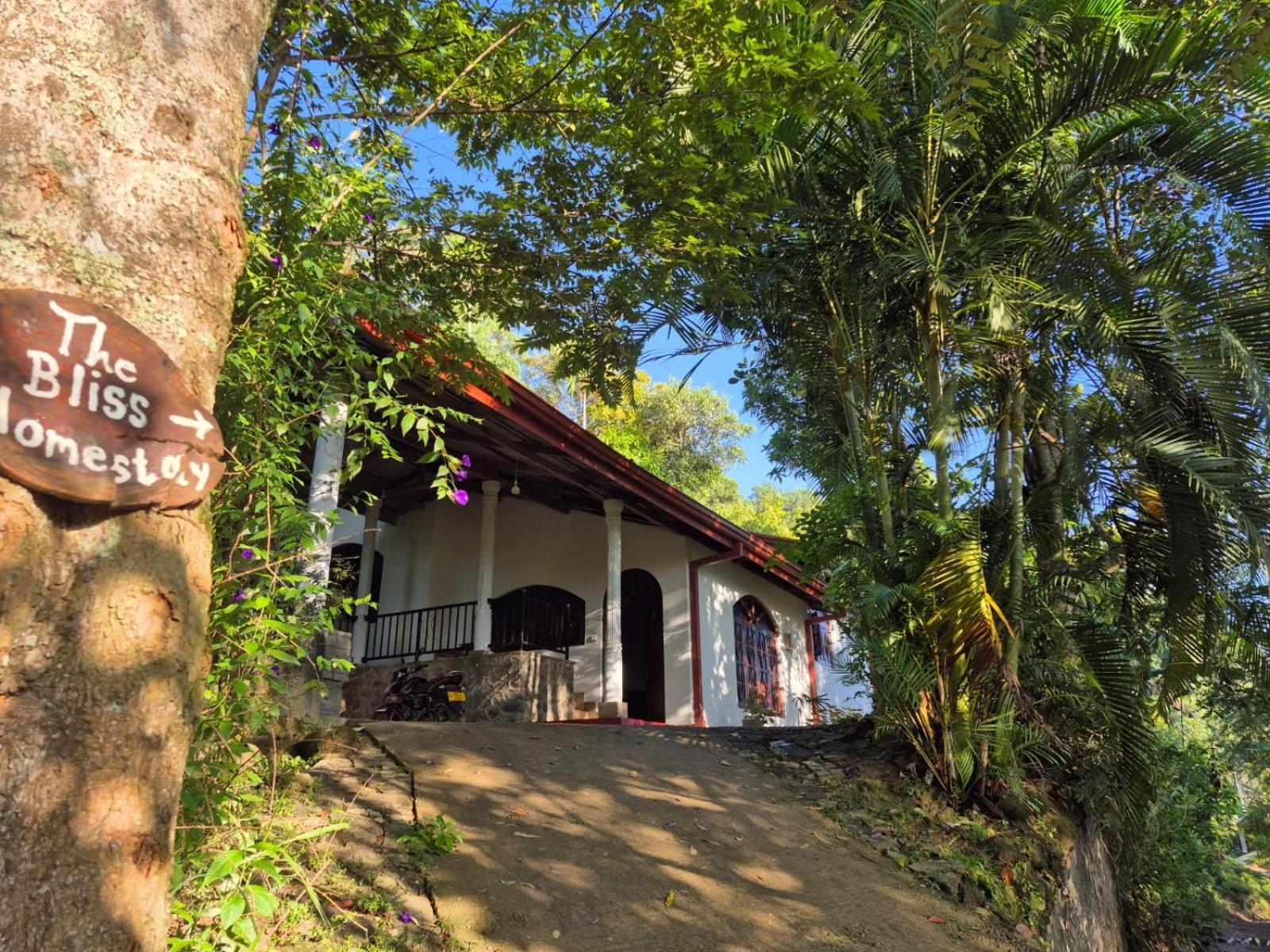 The Bliss Homestay