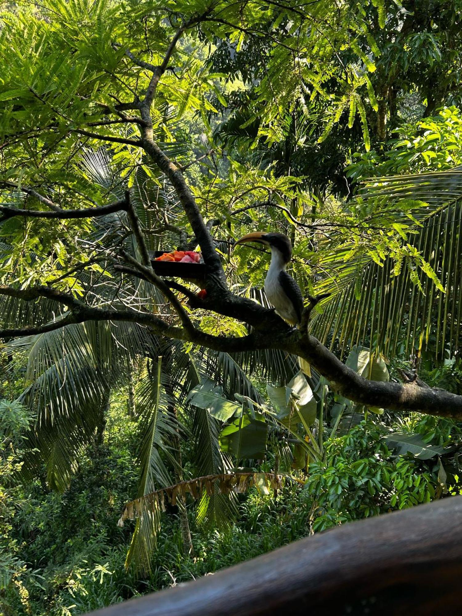 Naturewoodland