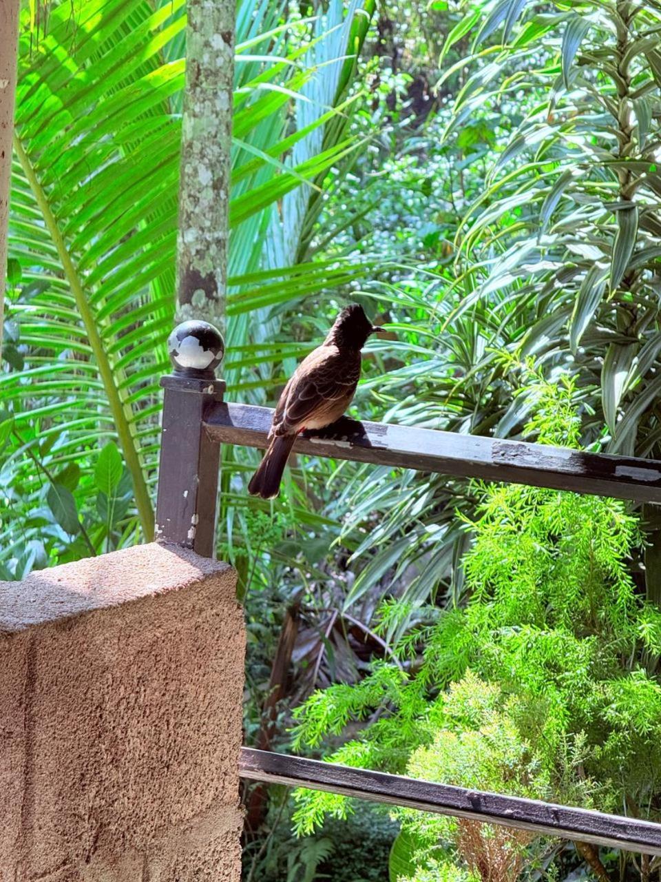 Homestay Sky Garden
