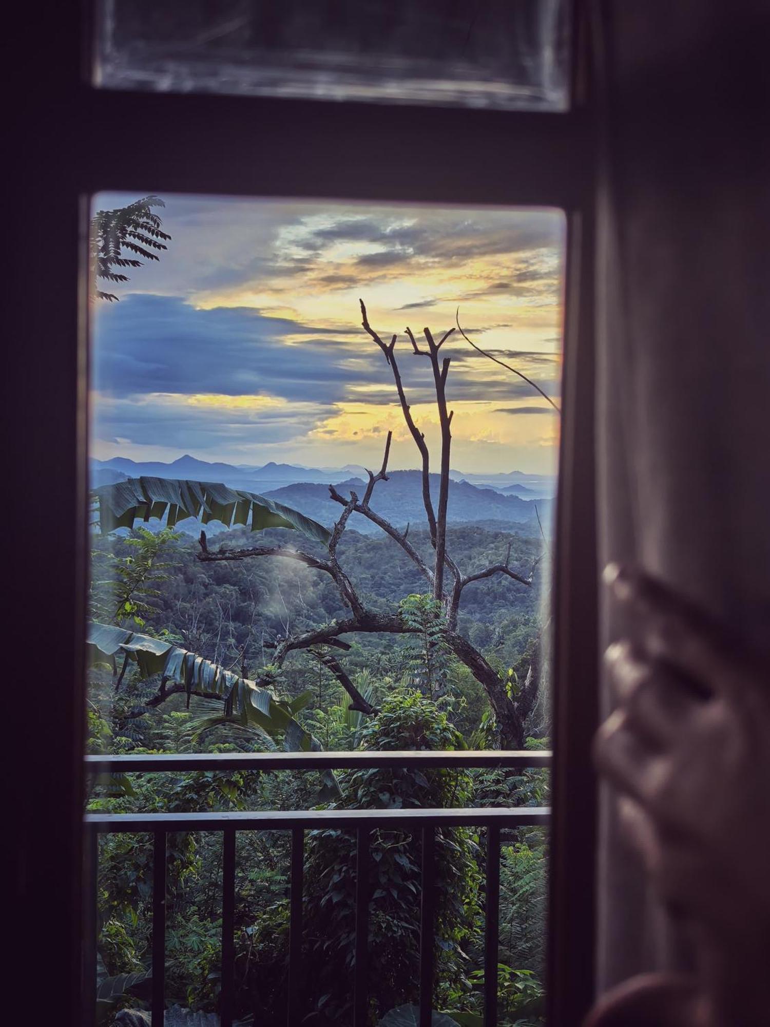 Eagle View *