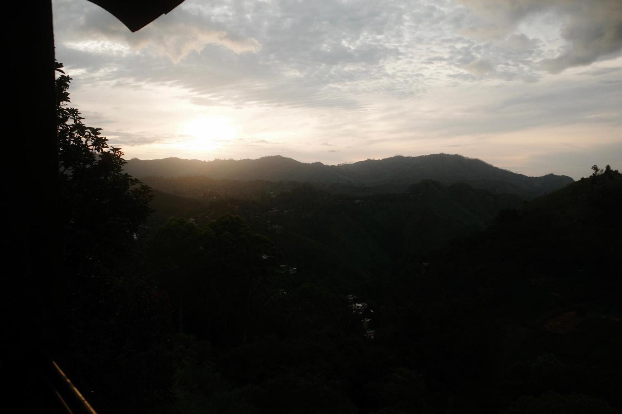 Will Guest Homestay