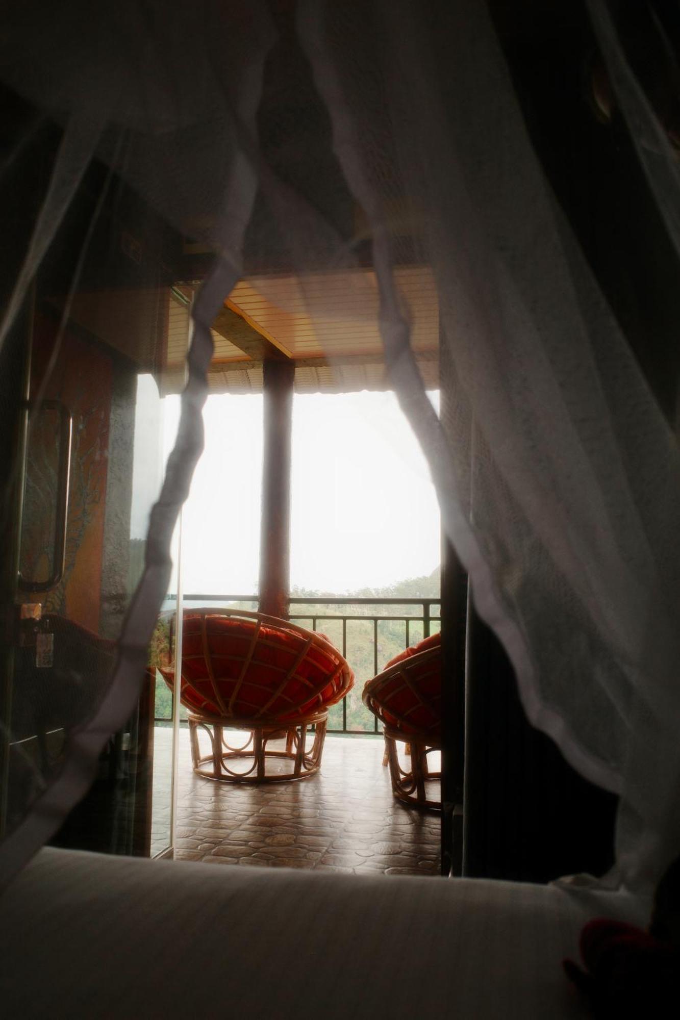 Homestay Will Guest