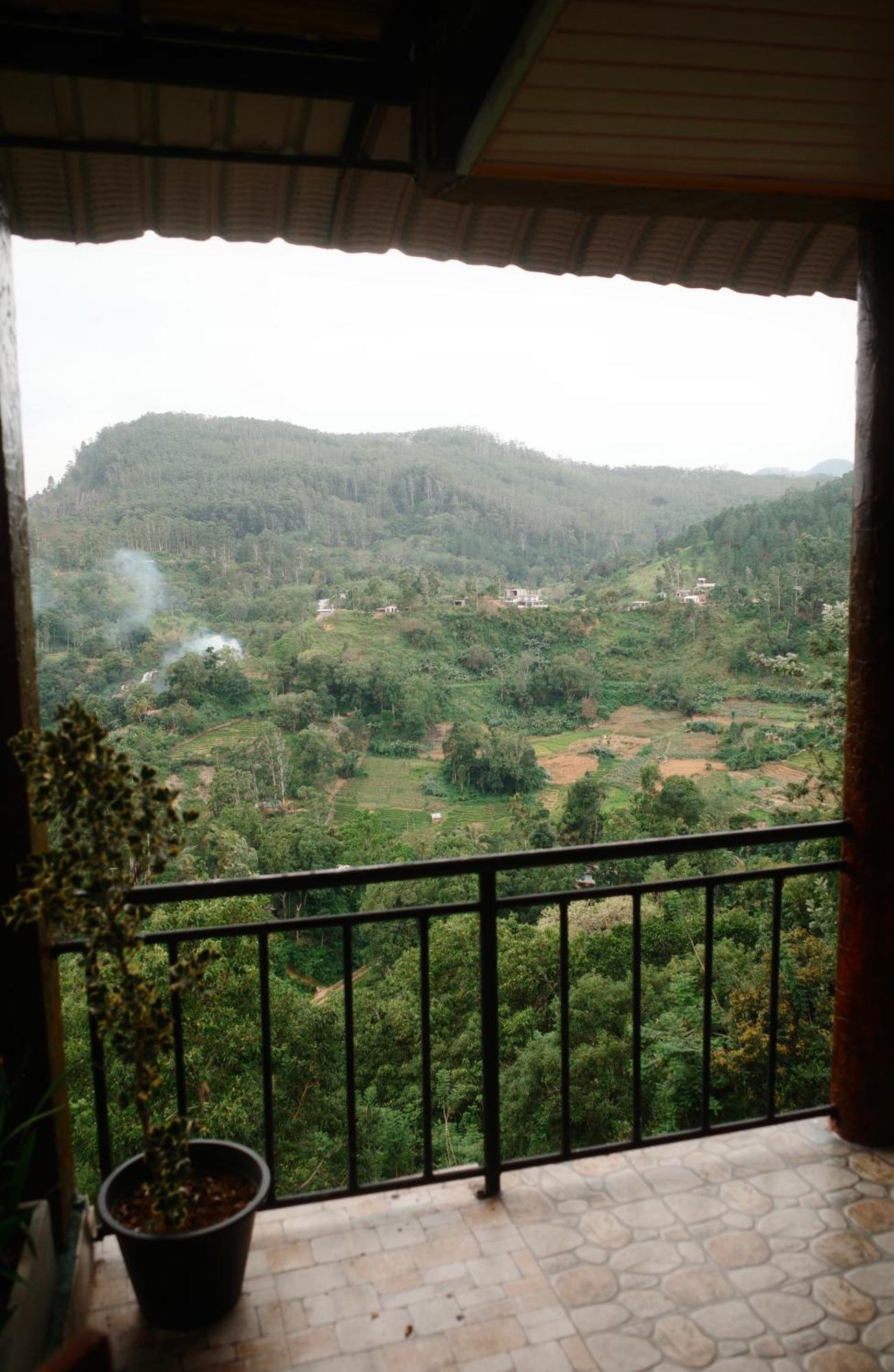 Homestay Will Guest