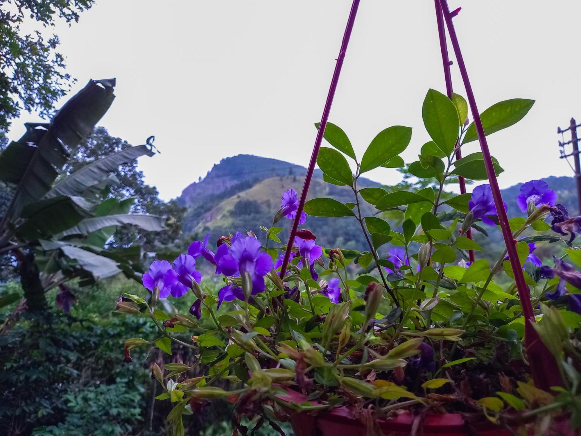 Happy View Homestay Ella