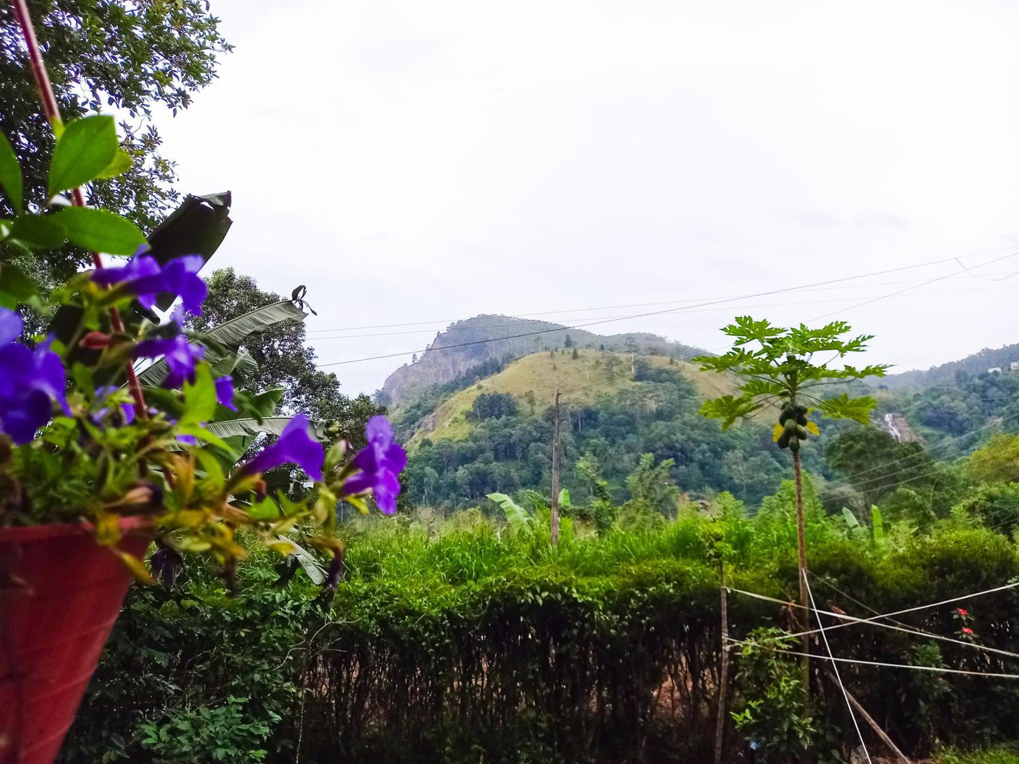 Homestay Happy View *