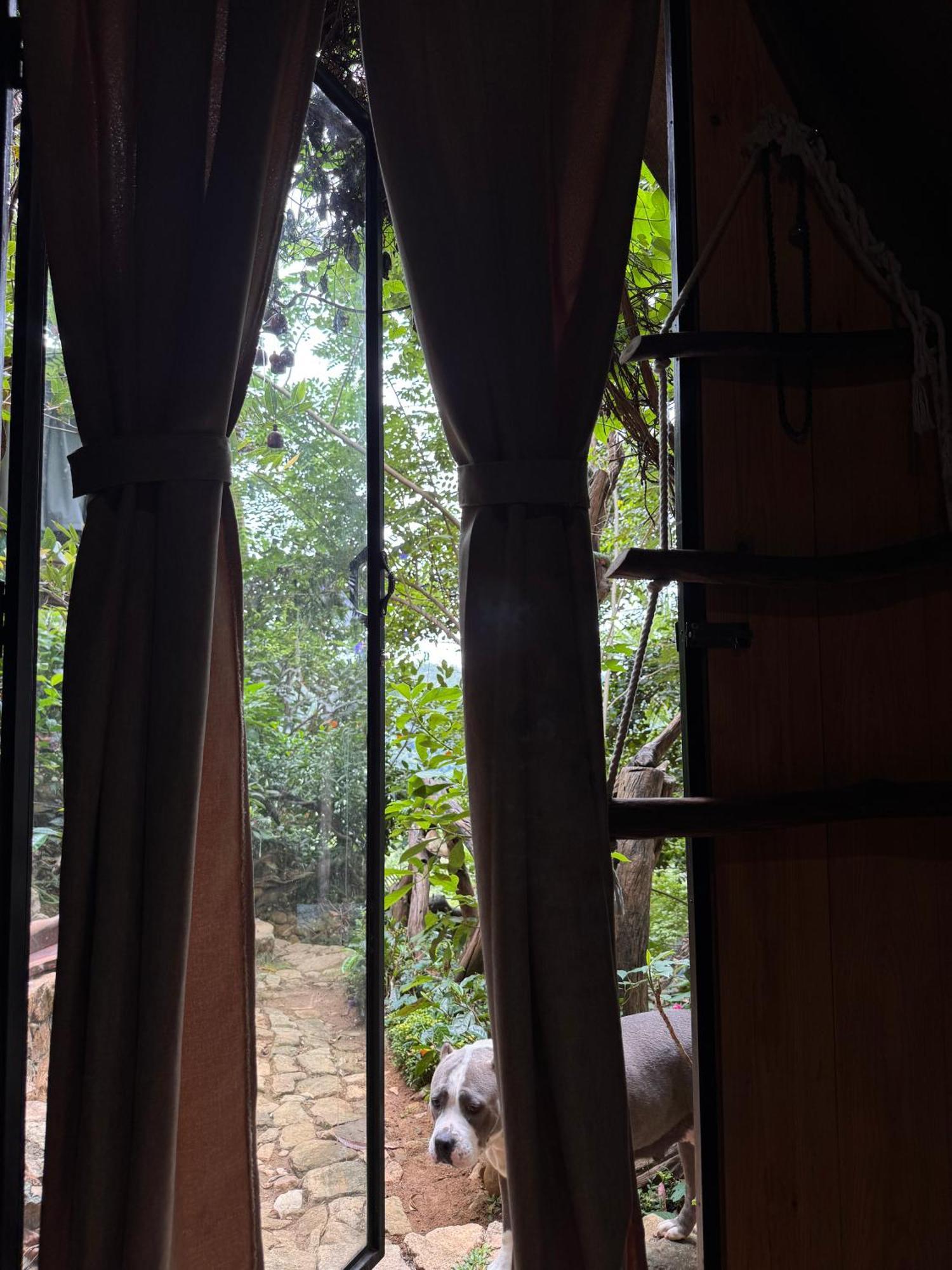 Wild Heart Glamping Campsite