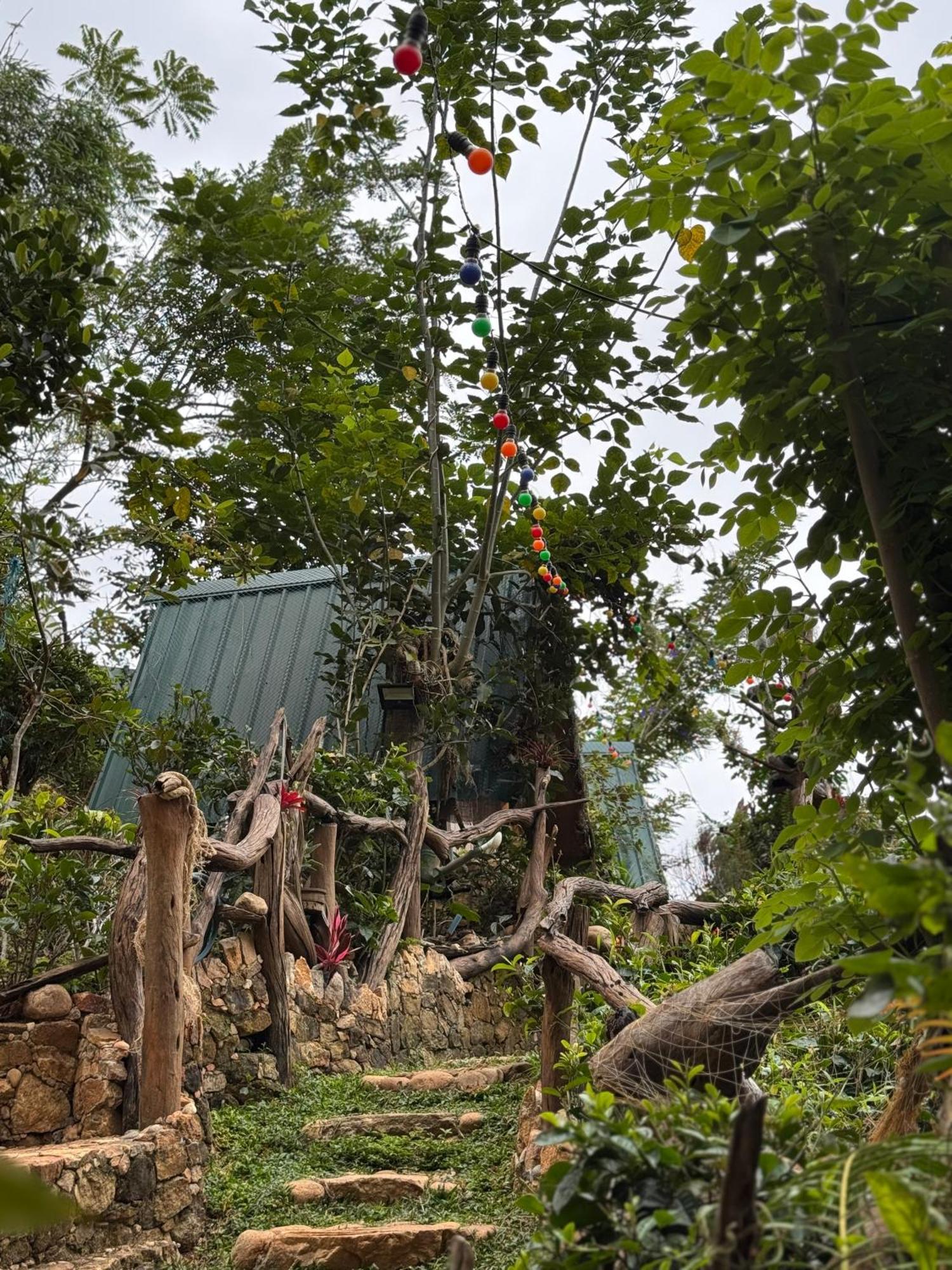 Wild Heart Glamping Campsite