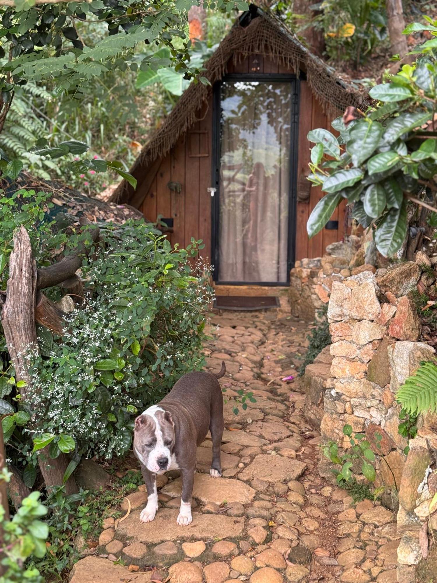 Campsite Wild Heart Glamping *