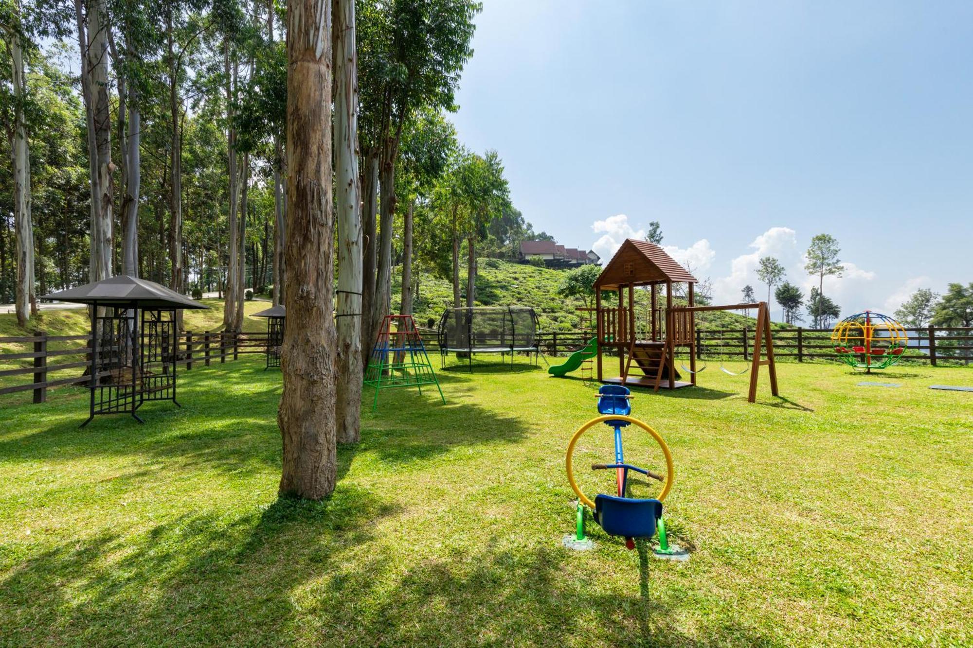 Anasa Wellness