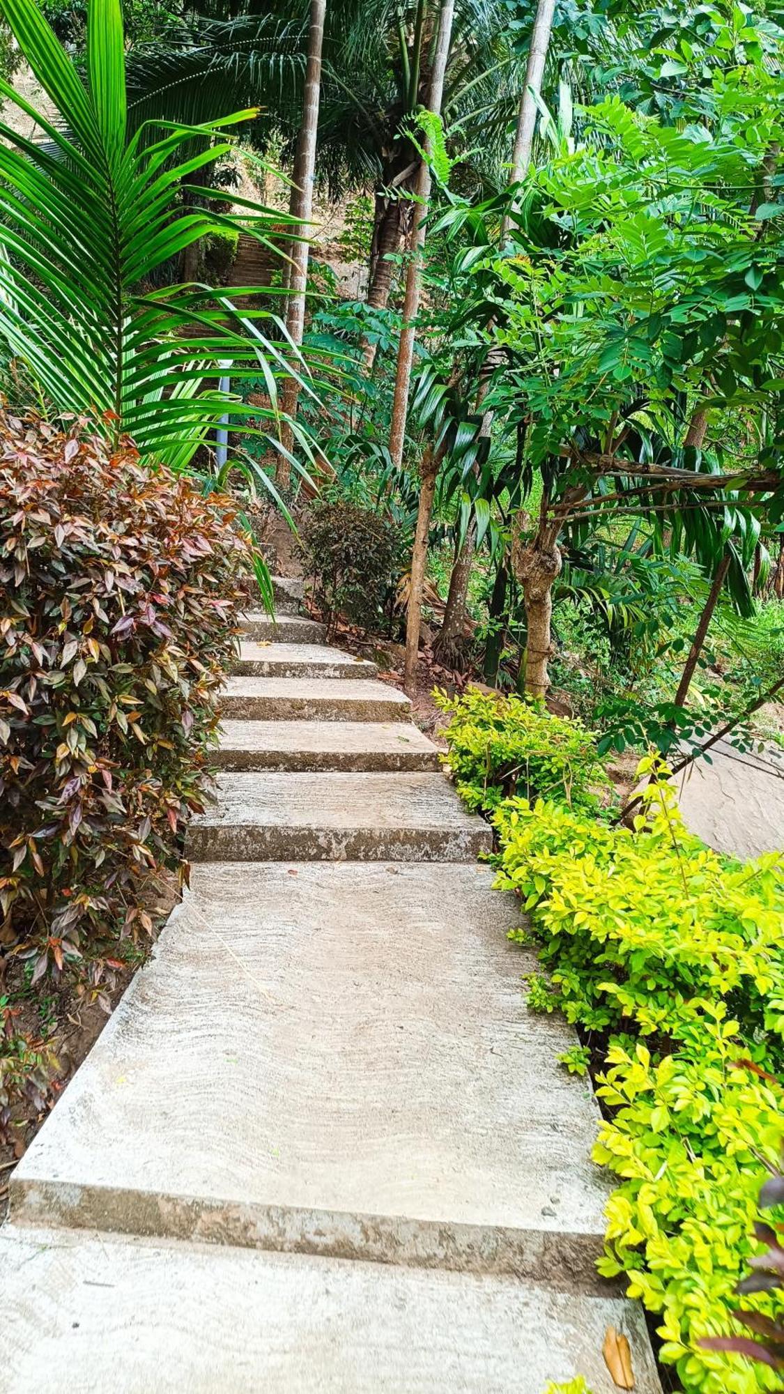 Forest Rawana Homestay