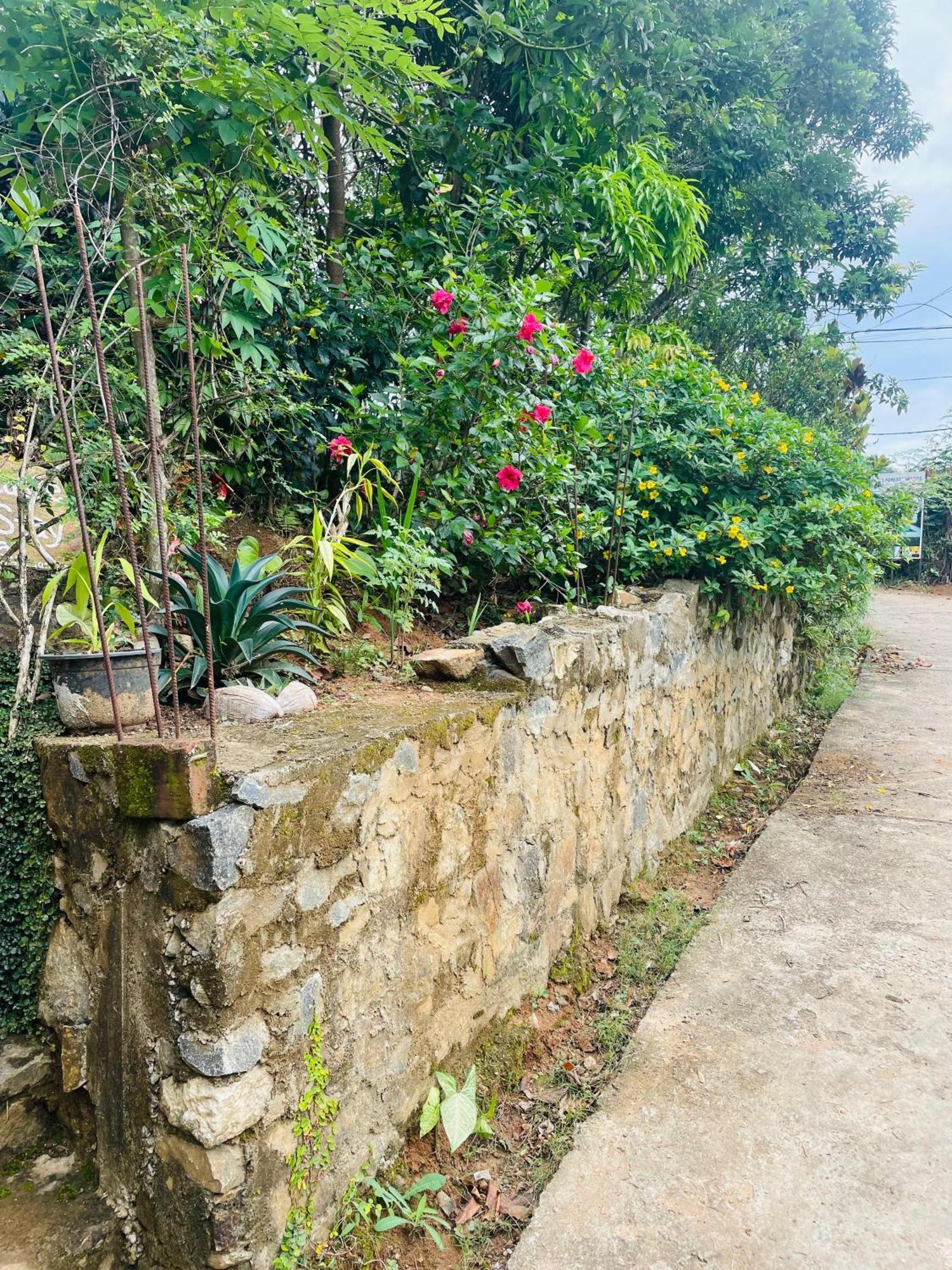 Homestay Ella Cloud Castle Homestay *