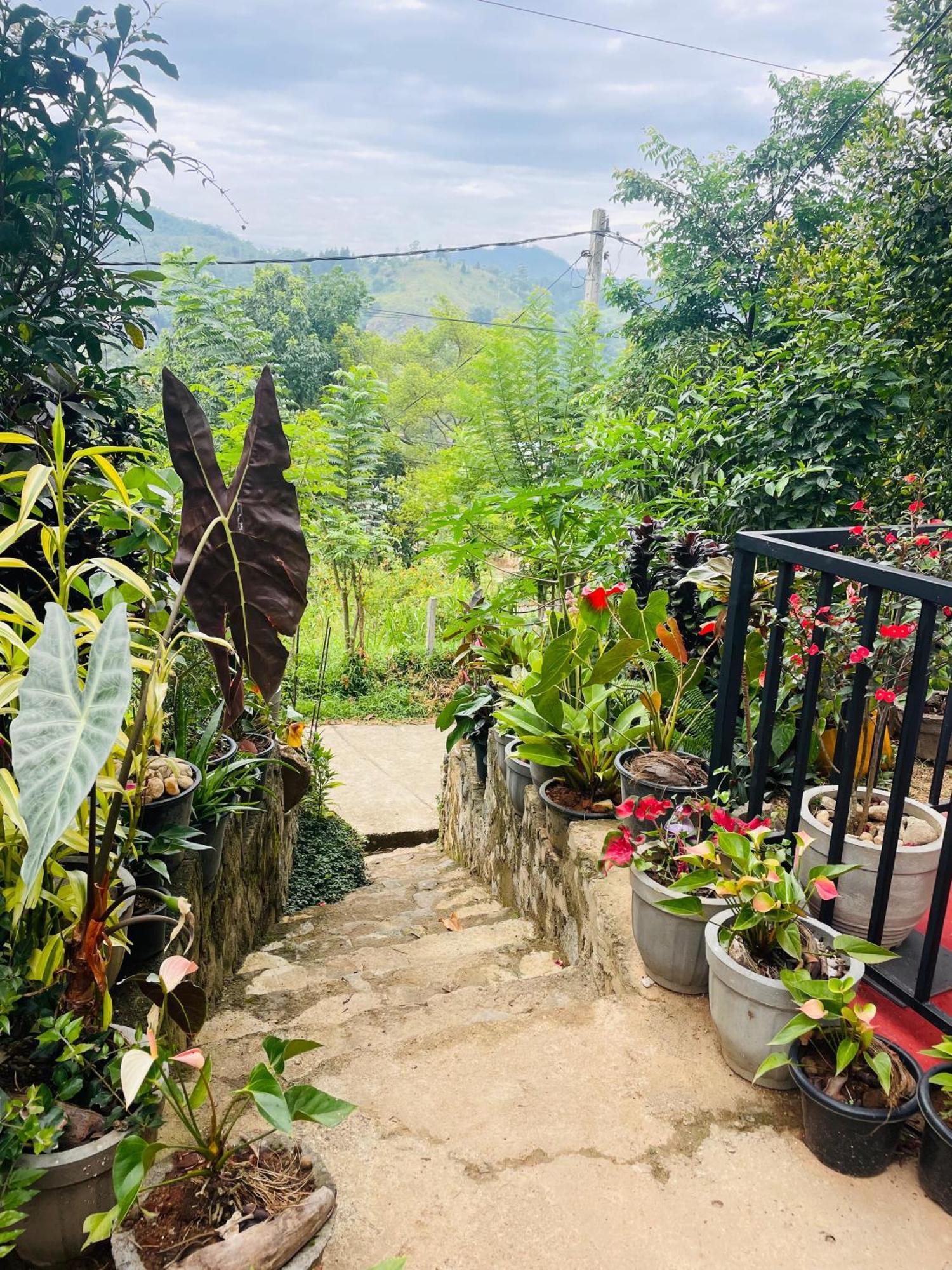 Ella Cloud Castle Homestay Ella