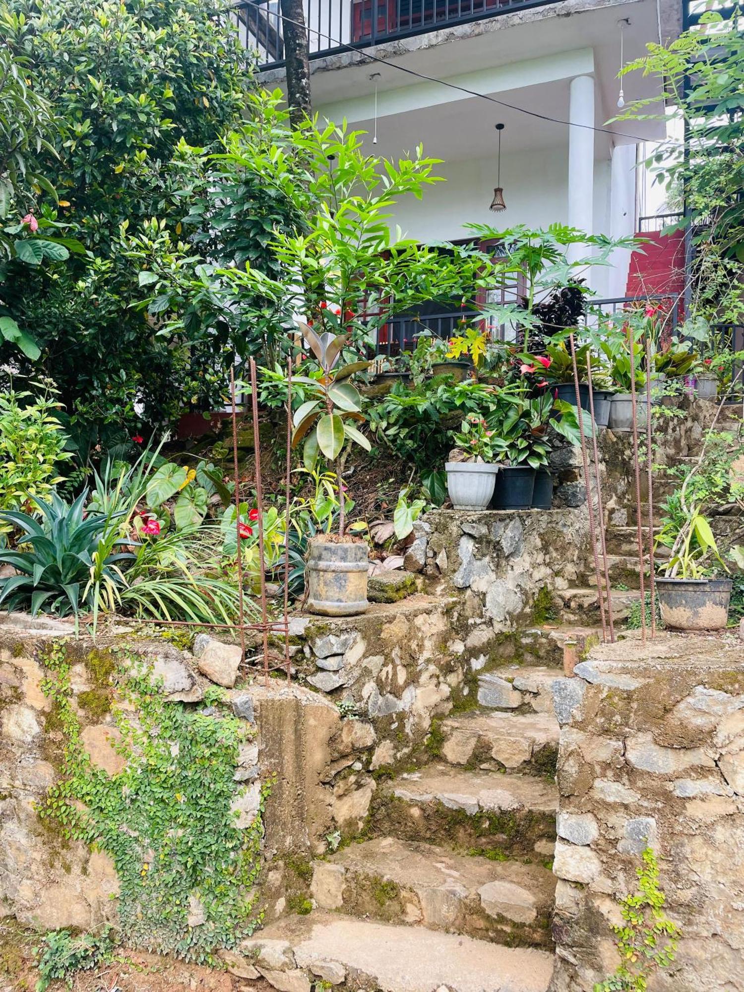 Ella Cloud Castle Homestay * Ella