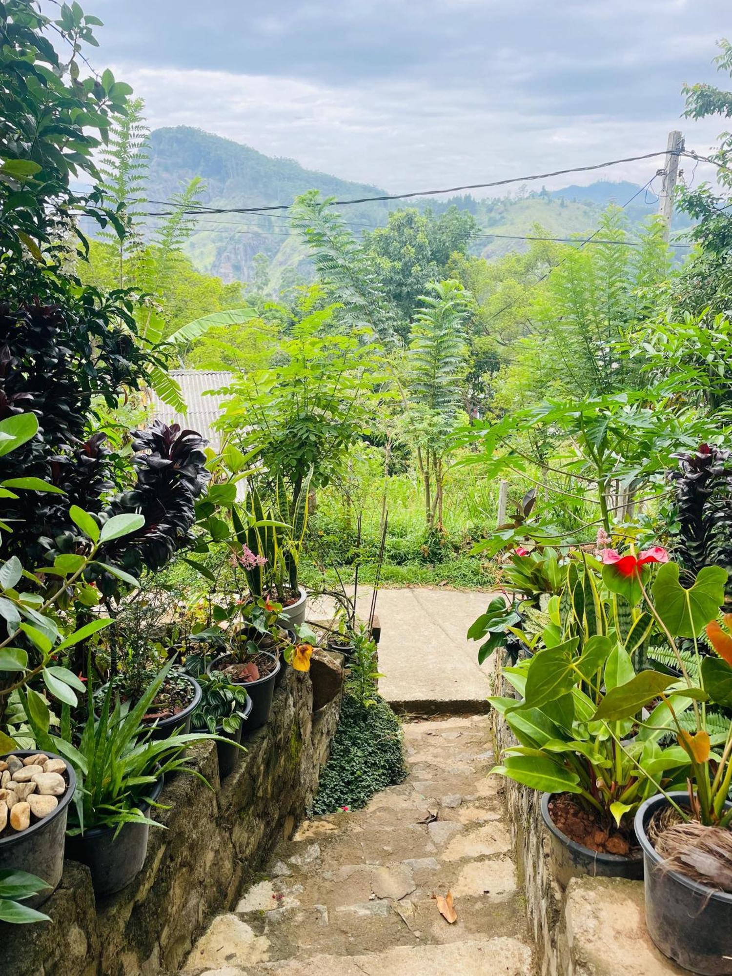 Ella Cloud Castle Homestay *