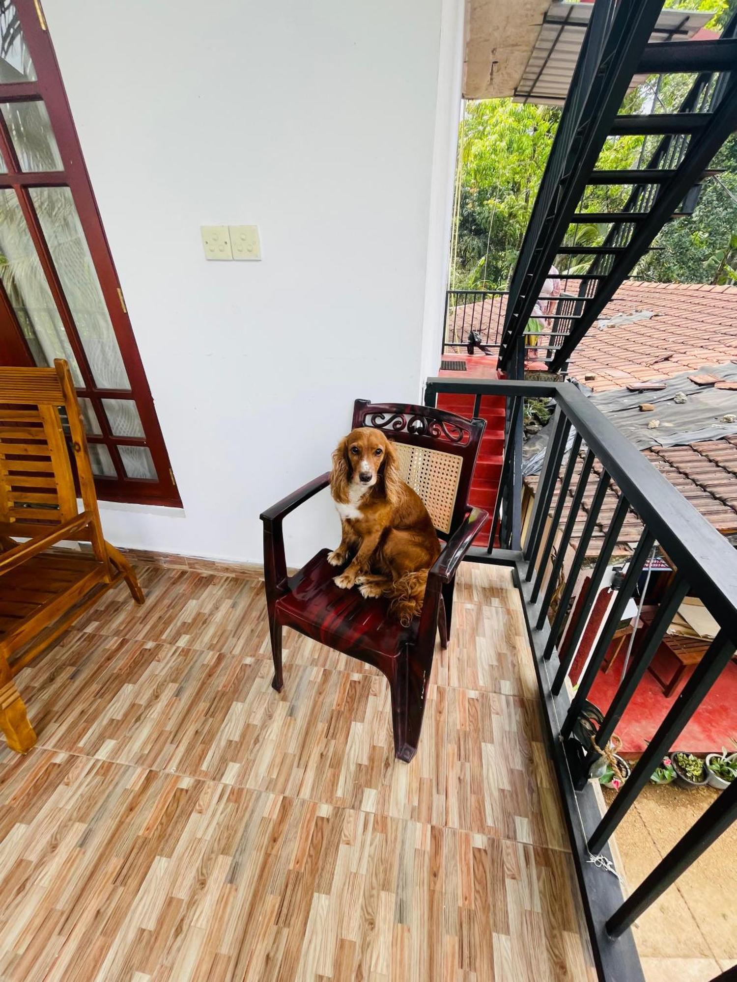 Homestay Ella Cloud Castle Homestay *