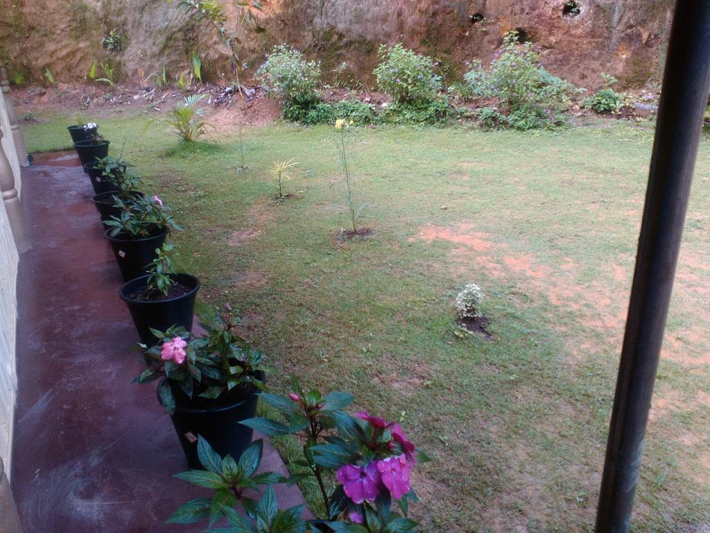Village Homestay *