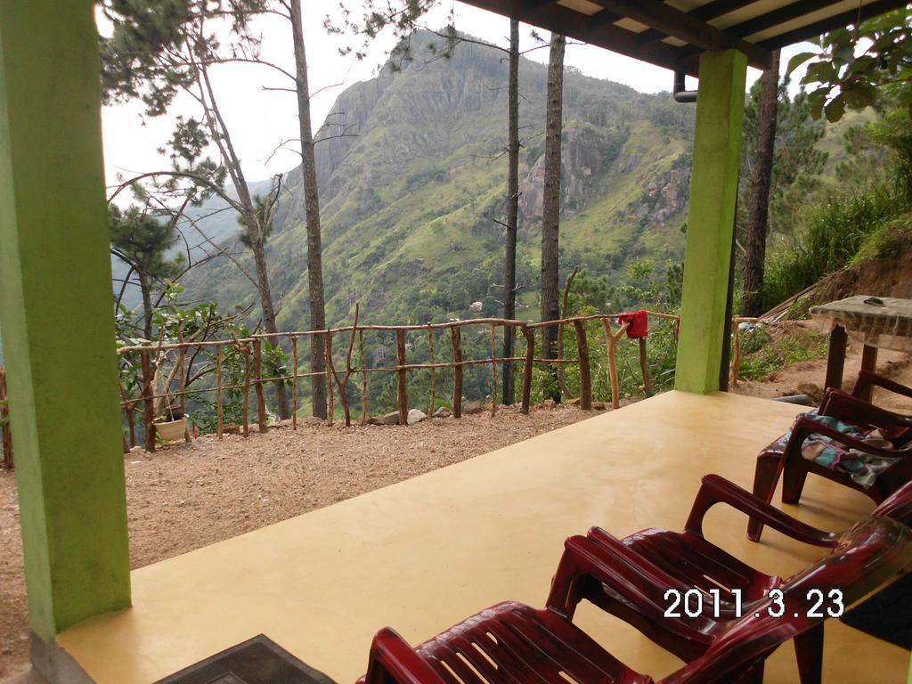 Dream View