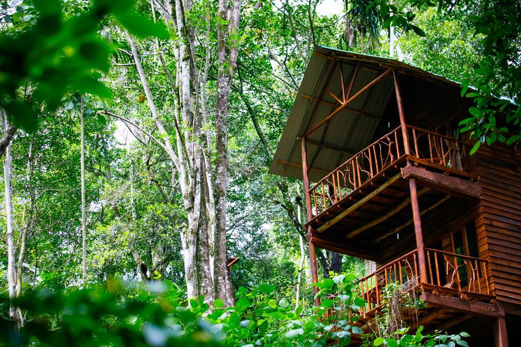 Ella Ecolodge Lodge