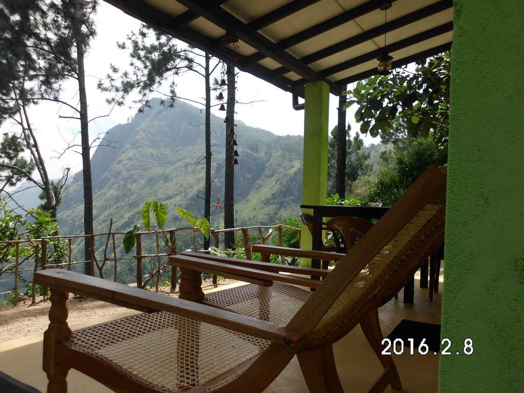 Dream View *