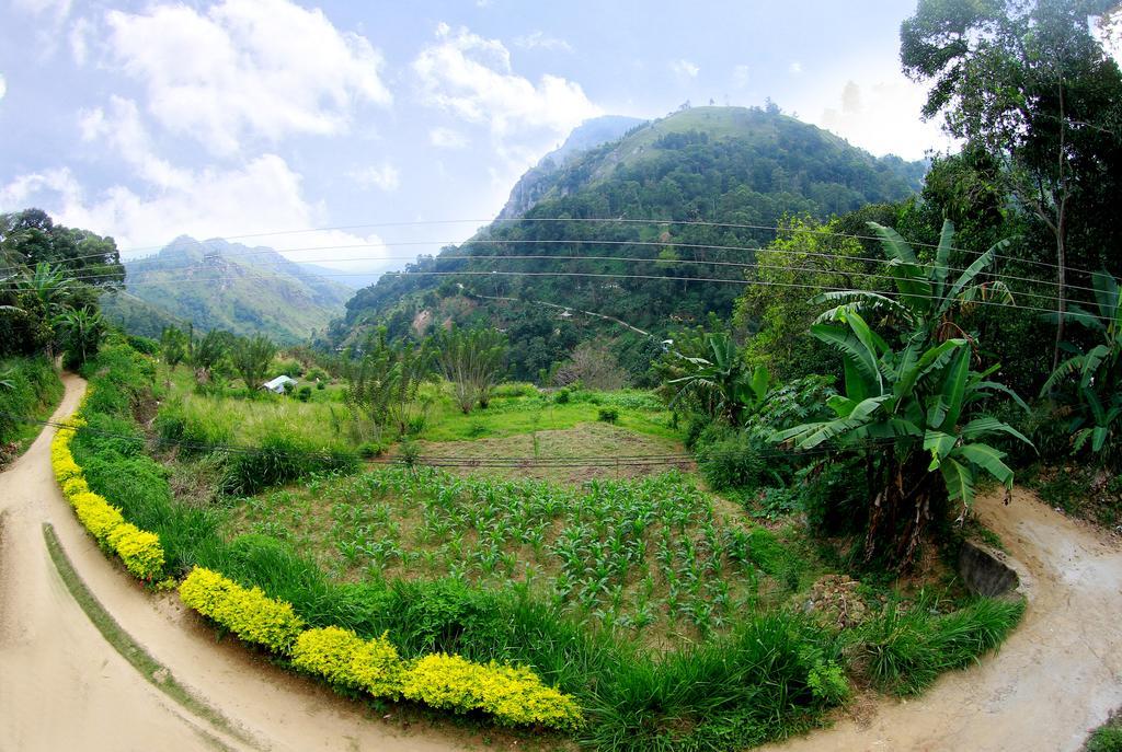 Sunray Homestay Ella