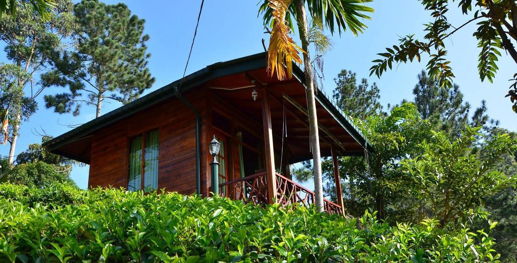 Guest house Mount Relax Ella