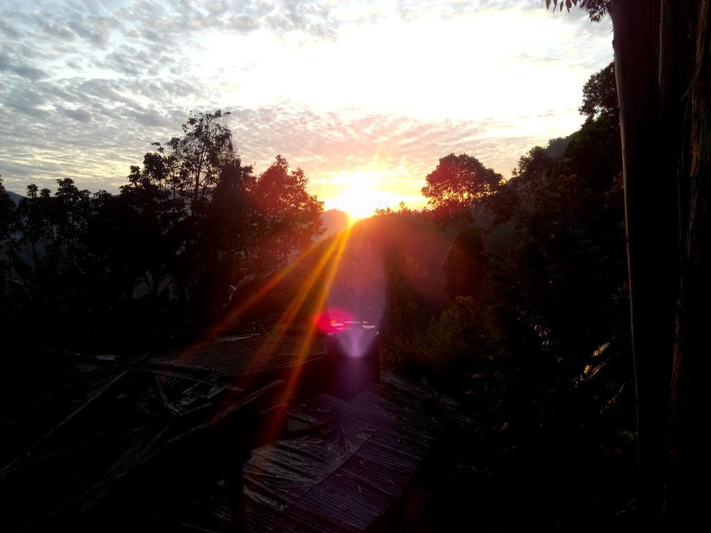 Homestay Will Guest *