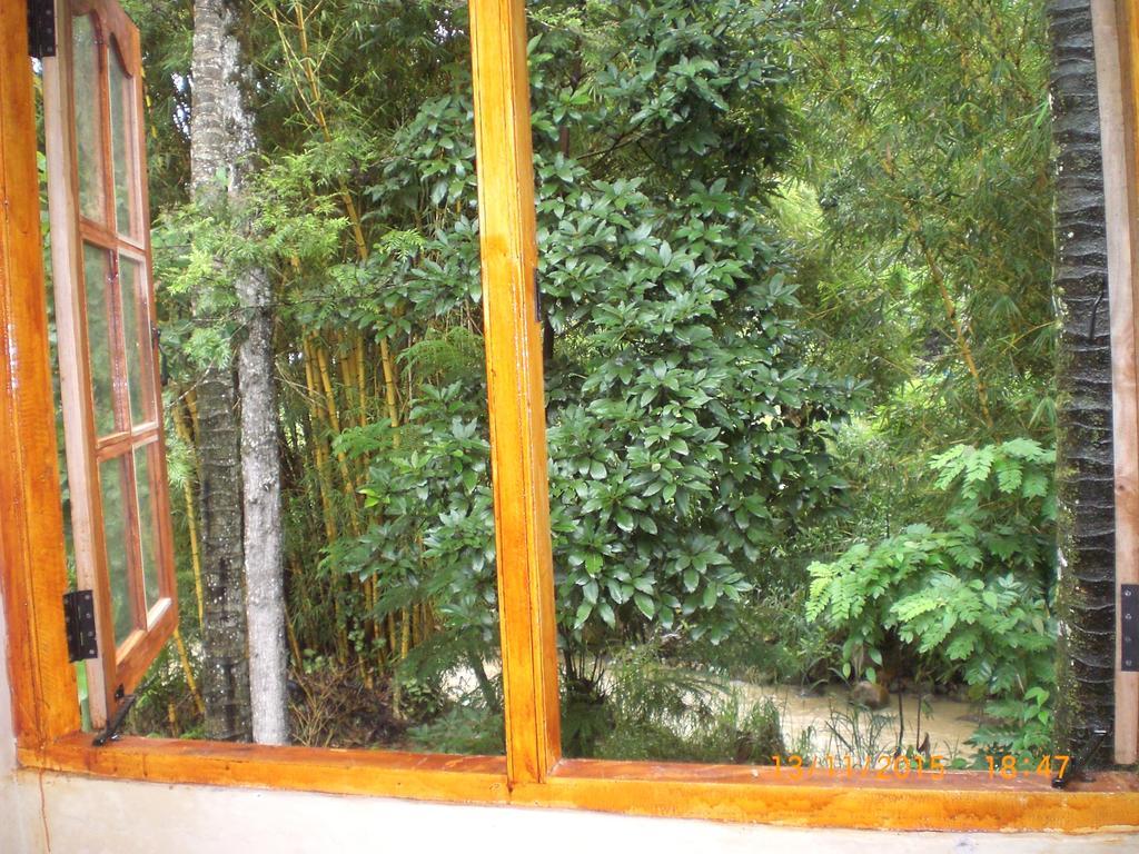 Ask Homestay Ella